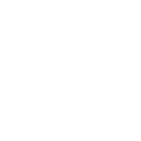 AM Motori